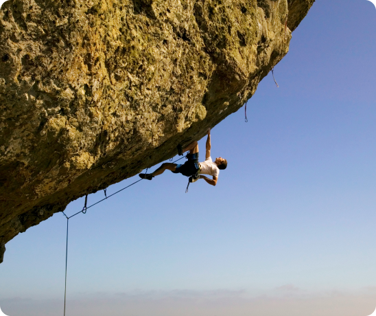 Global potential and market expansion